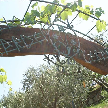 Geranion Village Nikiti  Extérieur photo